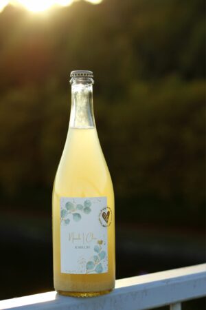 Noush|Cha Kombucha | champagne bottle