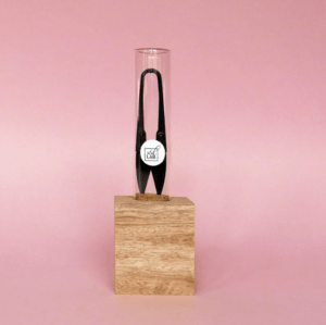 Stekschaartje in stekglaasje | Steklab