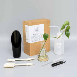 Stekset starter | Steklab