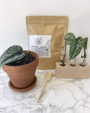 Spoil Soil | Steklab