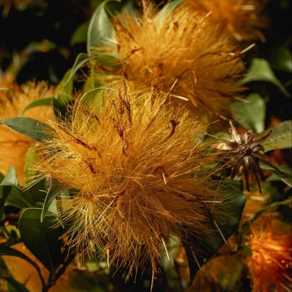 pexels-bruno-thethe-7498086